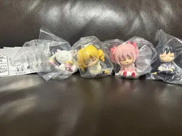 마도마기 어깨 쿵 컴플리트 세트