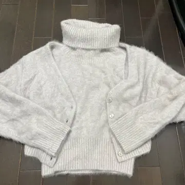 스나이델 오프 터틀 폭스