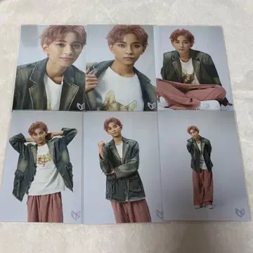 타케노 세나 브로마이드 vol.25 컴플리트 세트