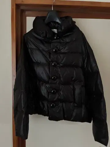 2024년 TAO 쇼와 다운