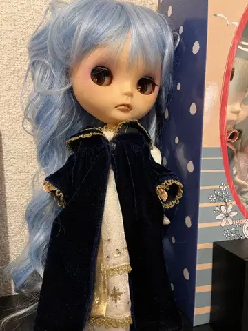 네오 브라이스 커스텀