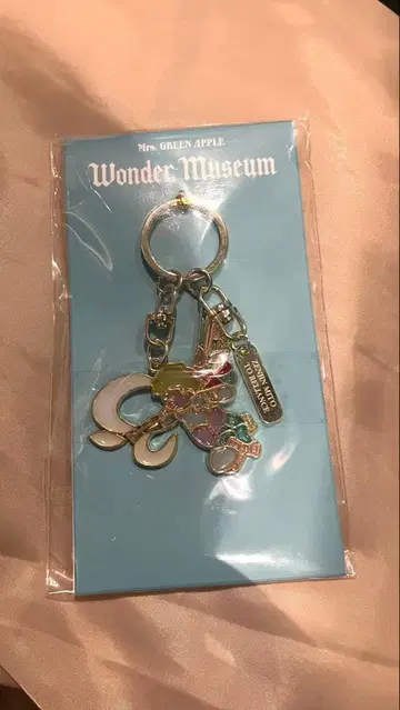 wonder museum 키링 미세스