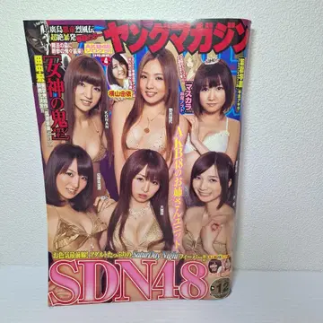 영 매거진 SDN48 특집호 2011년