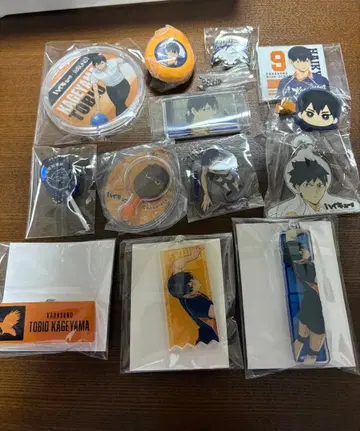 하이큐!! 키링류 카게야마 세트