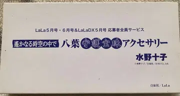 머나먼 시공 속에서 팔엽 보주 액세서리