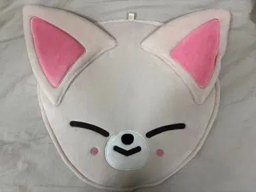 Straykids 아이엔 부채 커버