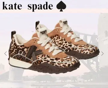 kate spade 레오파드 무늬 스니커즈 미사용 새상품