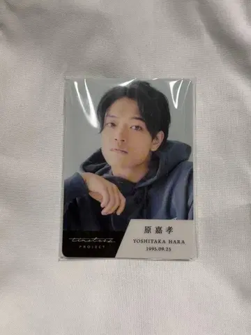 timelesz project 타입별 트레이딩 카드 하라 요시타카