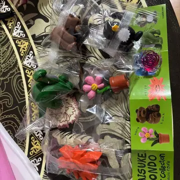 DAISUKE KONDO 아트 컬렉션 사진 5종 세트 (코끼리 없음)