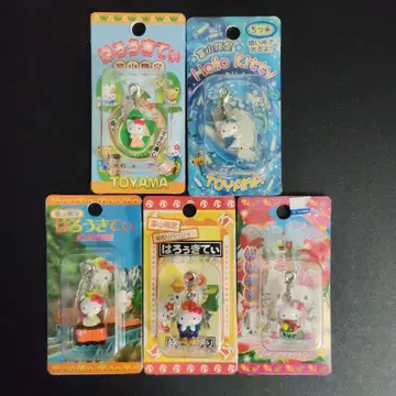 지역 한정 키티 토야마현 5개 세트