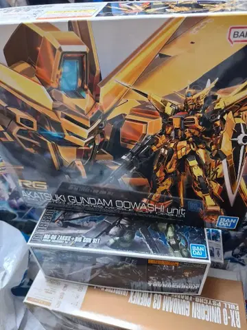 RG 아카츠키 건담