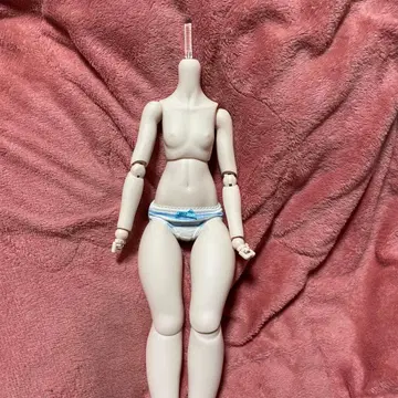 MDD 베이스 바디 세미 화이트 스킨 모찌다리 미니 돌피드림