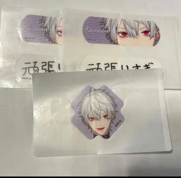 니지산지 쿠츠하 반창고