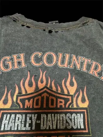 할리데이비슨 흑먹색 오니 페이드 파이어 패턴