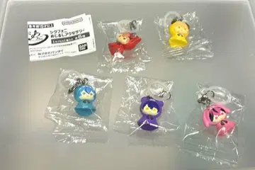 시쿠포니 메지루시 액세서리 세미 컴플리트 세트