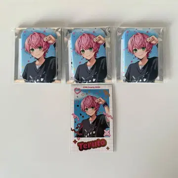 기사X 테루토군 세트