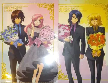 건담 꽃다발 키라 라크스 아스란 카가리 클리어 파일