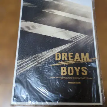 DREAM BOYS 팜플렛