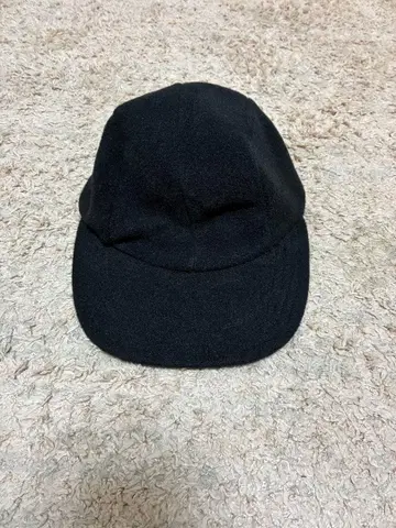 Patagonia WinterSpoonbill CAP 눈 없음 94