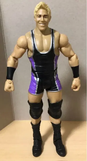 WWE 마텔 시리즈 2 잭 스wagge 피규어