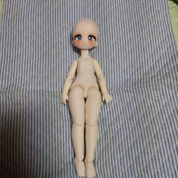 Tinyfox 노미 본체