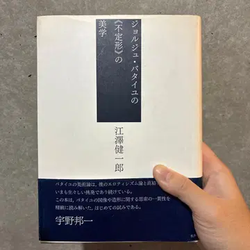 조르주 바타유의 [부정형]의 미학