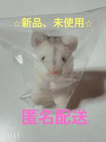 미니 펫 클럽 나의 햄스터 펄짱