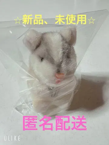 미니 반려동물 클럽 나의 햄스터 도미노 군