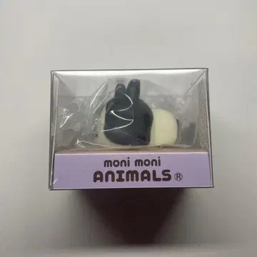 모니마루즈 토끼 모큐님 더치 moni moni ANIMALS
