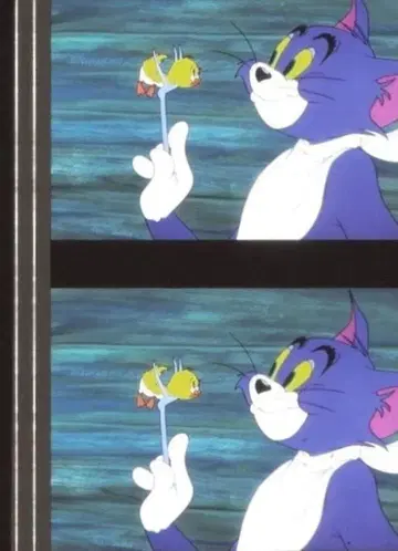 톰과 제리 35mm 영화 필름 연속 5컷 Tom and Jerry