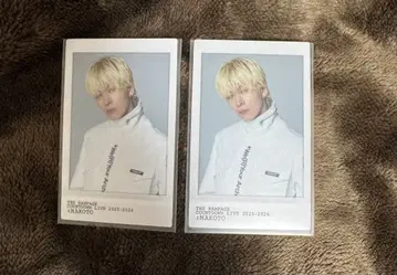 램페 카우 네이비 스티커 카드 하세가와 마코토