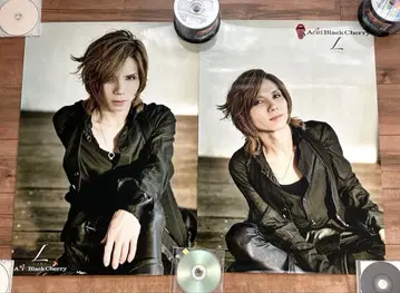 Acid Black Cherry 양면 포스터 2장 세트
