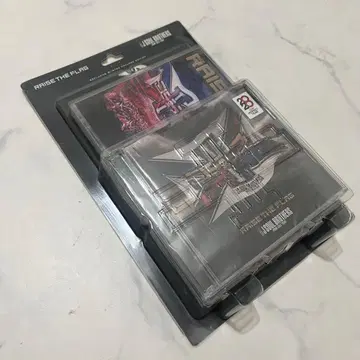 [ 삼대째JSB ] RAISE THE FLAG CD+DVD 세트