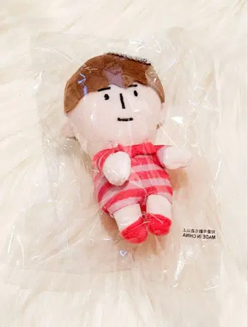 ENTA8 코시오카 유키 치비 누이