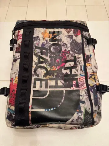 THE NORTH FACE 그래픽 백팩 퓨즈박스 레어