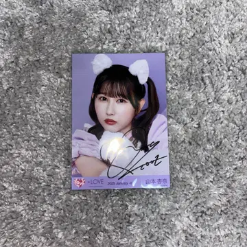 = LOVE 이코라브 야마모토 안나 브로마이드 친필 고양이 의상