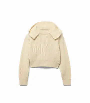 FUMIKA UCHIDA Hooded Pullover