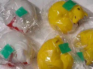 손안의 등불 여우 캡슐 토이