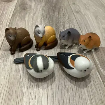 북쪽 나라 도감 가챠가챠 캡슐 토이 풀컴프 세트 묶음 판매