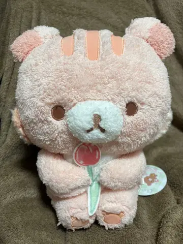 차이로이코구마의 친구 봉제 인형 XL 산엑스