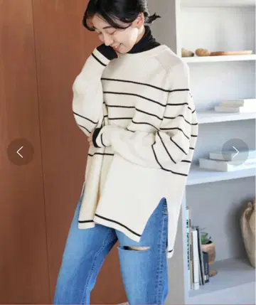 이에나 보더 니트 이에나, 베이직 재고, 스픽 앤 스팬