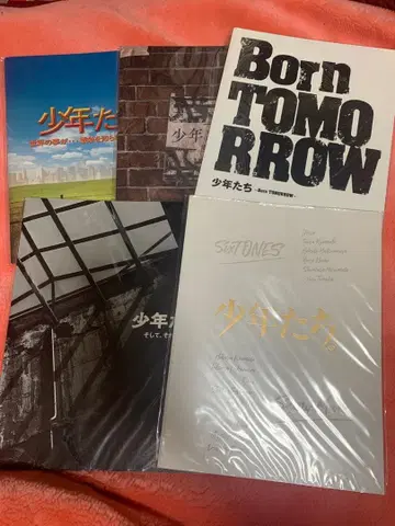 SixTONES SnowMan 무대 소년들 팜플렛 묶음 판매