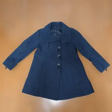 파티큘라르 코트