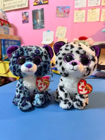 ty beanie boos 2체 세트
