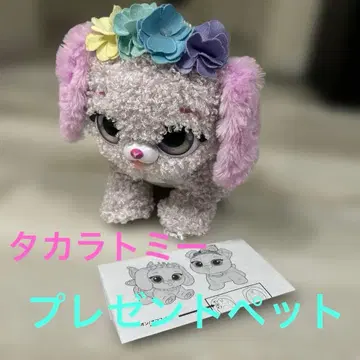 타카라토미 선물 반려동물
