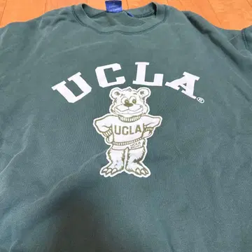 UCLA 곰 캐릭터 트레이닝복