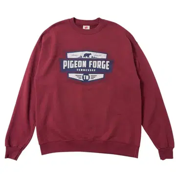 헤인즈 맨투맨 트레이닝복 L 버건디 Hanes 아메카지 구제 의류