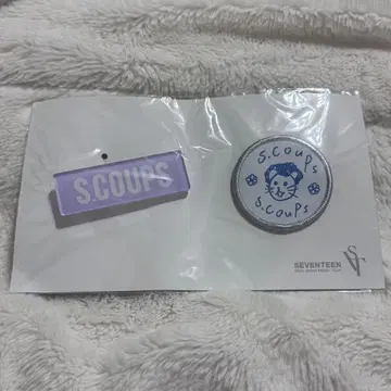 SEVENTEEN 에스크 핀 배지 세트