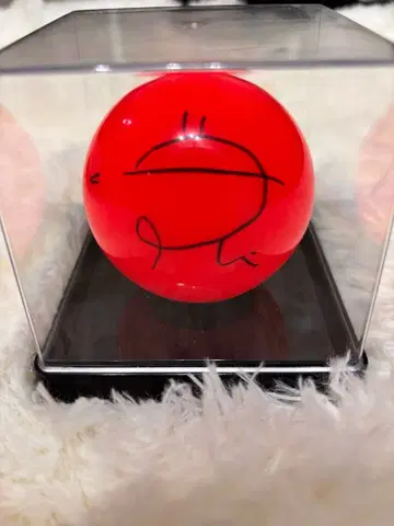 Niziu 홀 투어 face to face 리마 사인볼