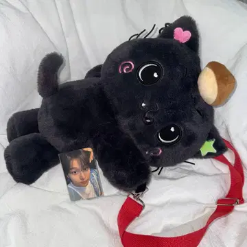 NCT WISH 로그인 봉제 인형 백 리쿠 밤